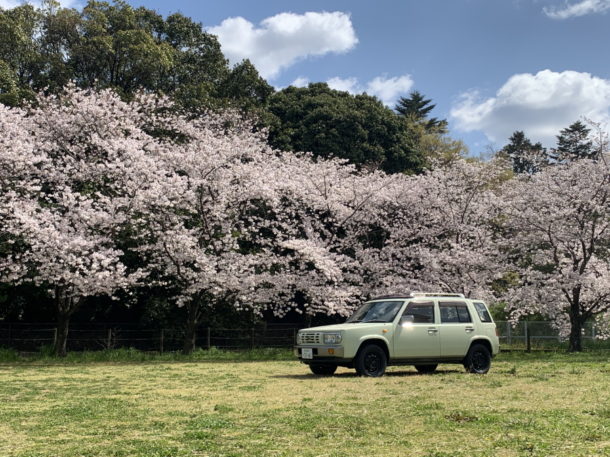 桜とラシーン